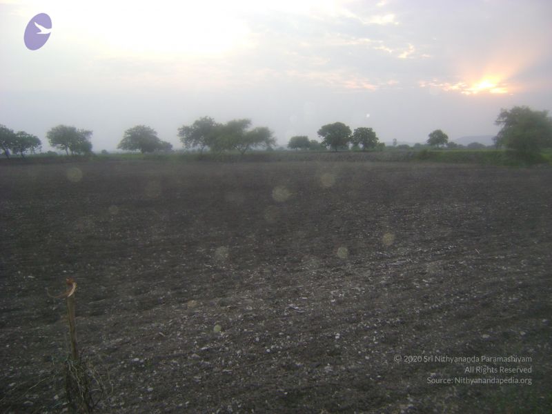 File:2006 DSC01745 CMP WM.jpg