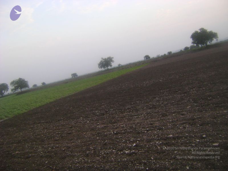 File:2006 DSC01746 CMP WM.jpg