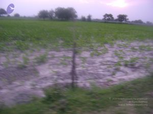 2006 DSC01747 CMP WM.jpg