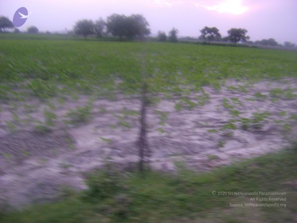 2006 DSC01747 CMP WM.jpg