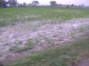 2006 DSC01748 CMP WM.jpg