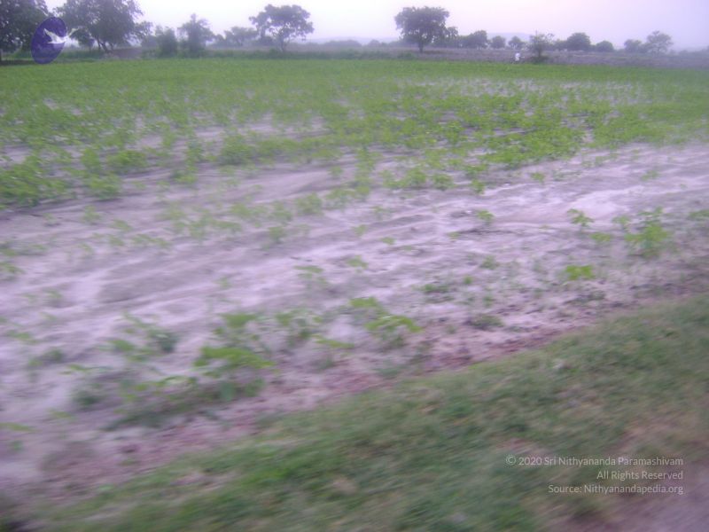 File:2006 DSC01748 CMP WM.jpg