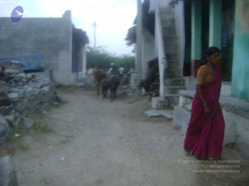 File:2006 DSC01758 CMP WM.jpg