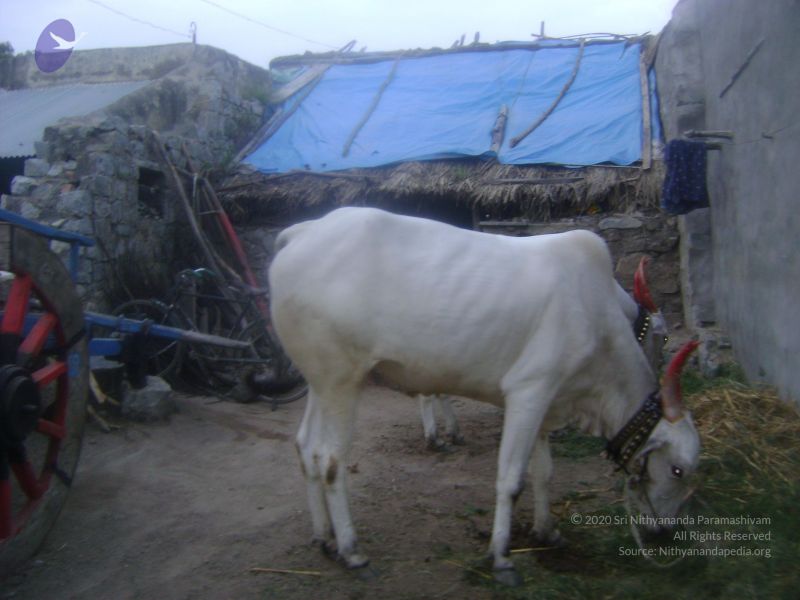 File:2006 DSC01759 CMP WM.jpg