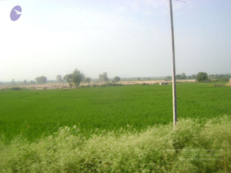 File:2006 DSC01768 CMP WM.jpg