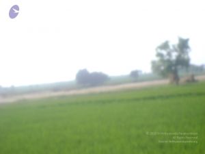 2006 DSC01769 CMP WM.jpg