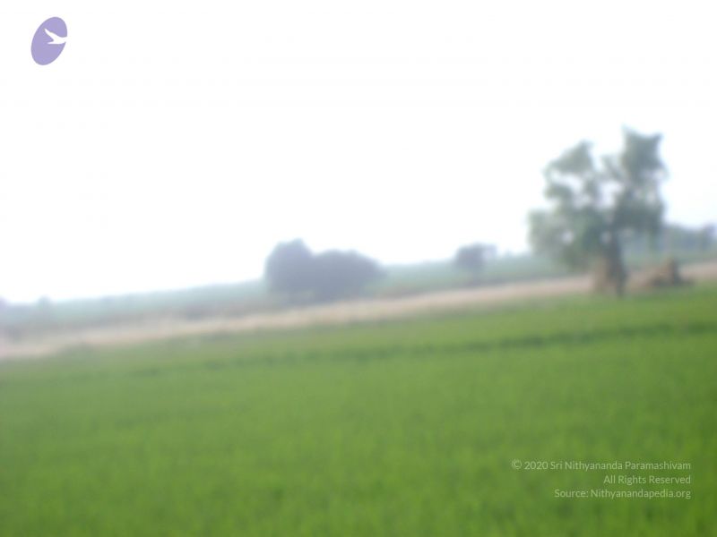 File:2006 DSC01769 CMP WM.jpg