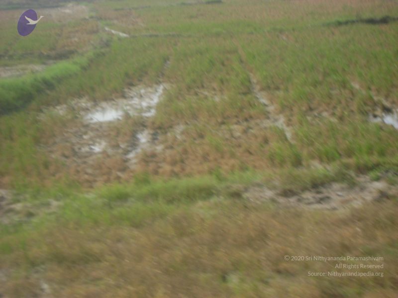 File:2006 DSC01771 CMP WM.jpg