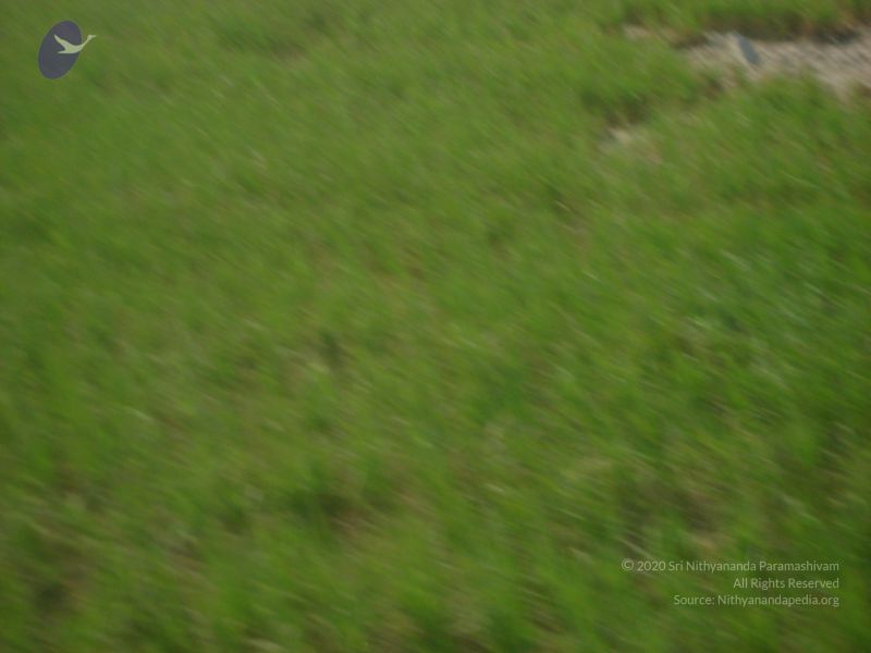 File:2006 DSC01772 CMP WM.jpg