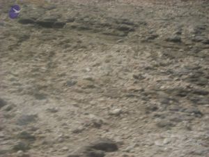 2006 DSC01773 CMP WM.jpg