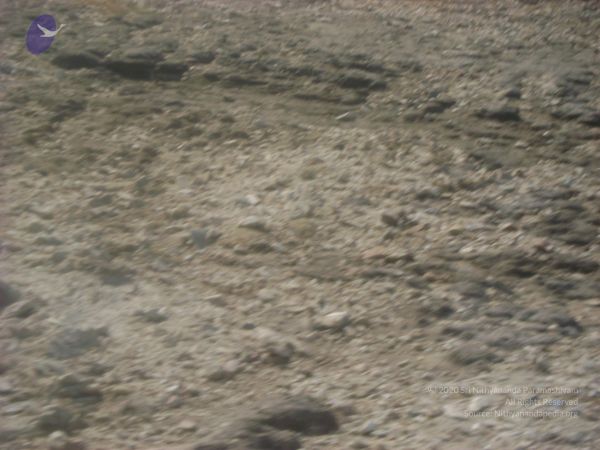 2006 DSC01773 CMP WM.jpg