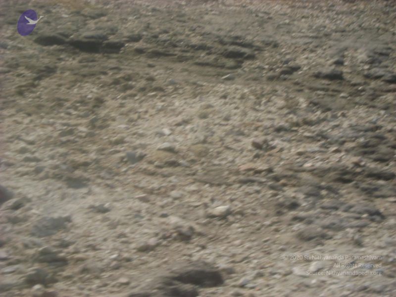 File:2006 DSC01773 CMP WM.jpg