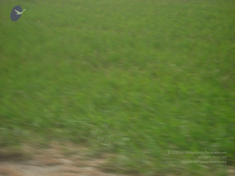 File:2006 DSC01774 CMP WM.jpg