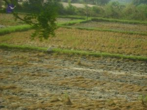 2006 DSC01775 CMP WM.jpg