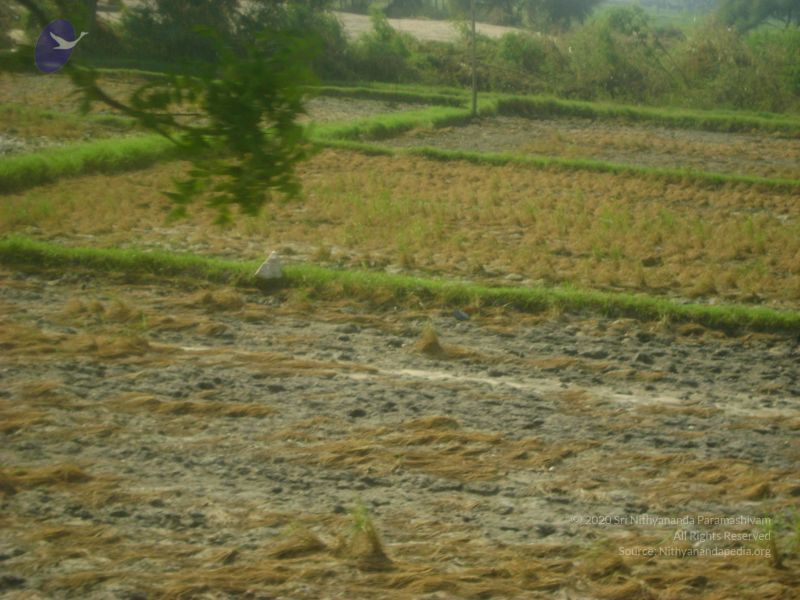 File:2006 DSC01775 CMP WM.jpg