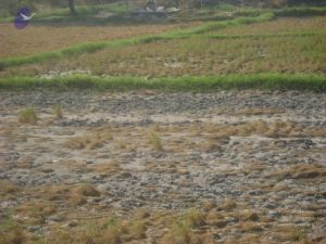 2006 DSC01776 CMP WM.jpg