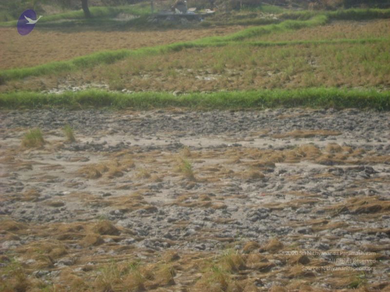 File:2006 DSC01776 CMP WM.jpg