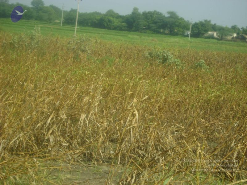 File:2006 DSC01784 CMP WM.jpg