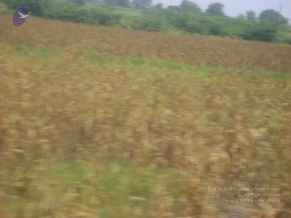 2006 DSC01786 CMP WM.jpg