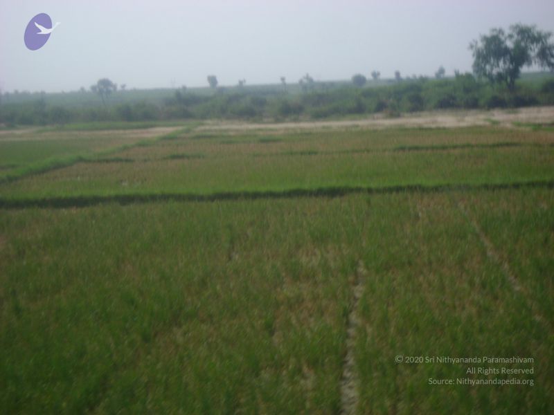 File:2006 DSC01788 CMP WM.jpg