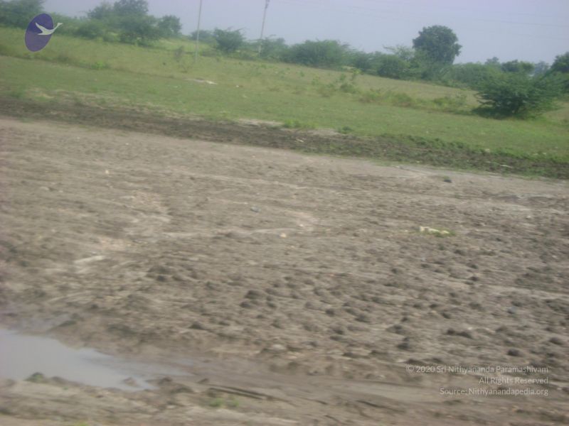 File:2006 DSC01789 CMP WM.jpg