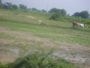 2006 DSC01790 CMP WM.jpg