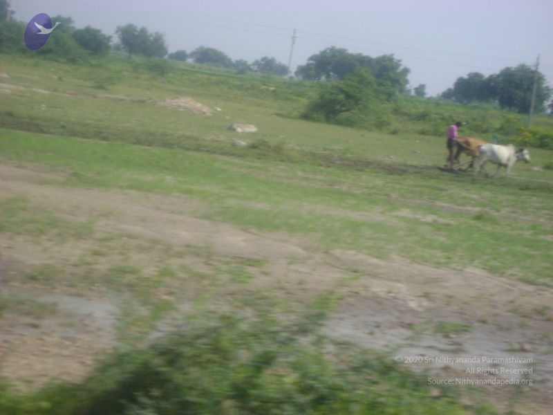 File:2006 DSC01790 CMP WM.jpg