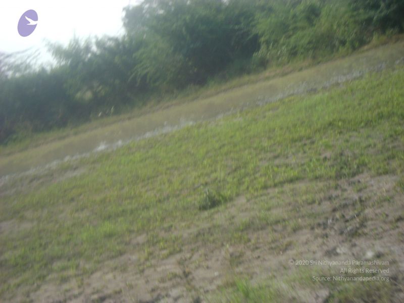 File:2006 DSC01791 CMP WM.jpg