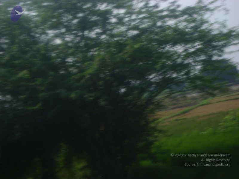 File:2006 DSC01793 CMP WM.jpg