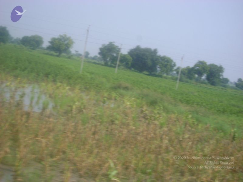 File:2006 DSC01795 CMP WM.jpg