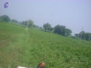 2006 DSC01796 CMP WM.jpg