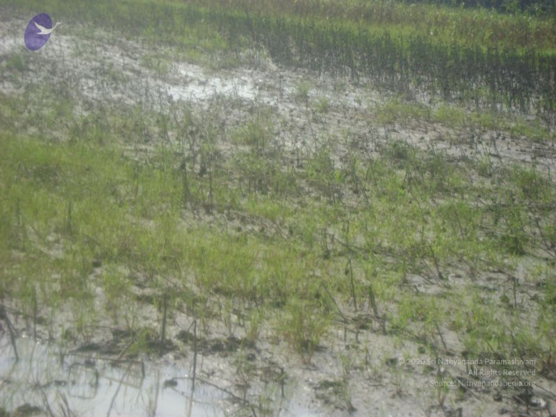 File:2006 DSC01802 CMP WM.jpg