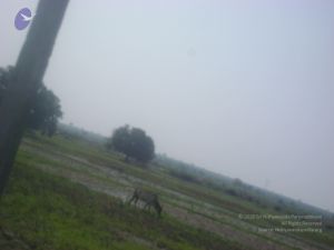 2006 DSC01804 CMP WM.jpg