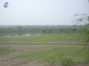 2006 DSC01806 CMP WM.jpg