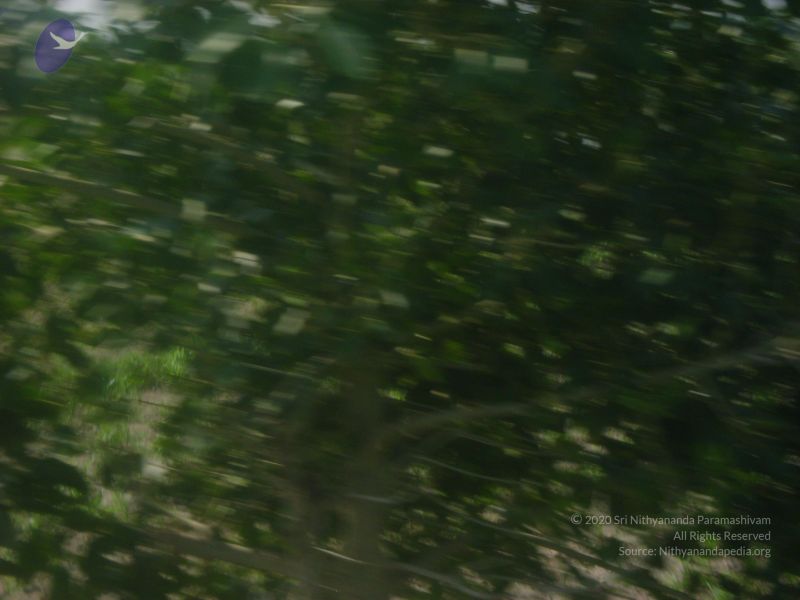 File:2006 DSC01807 CMP WM.jpg