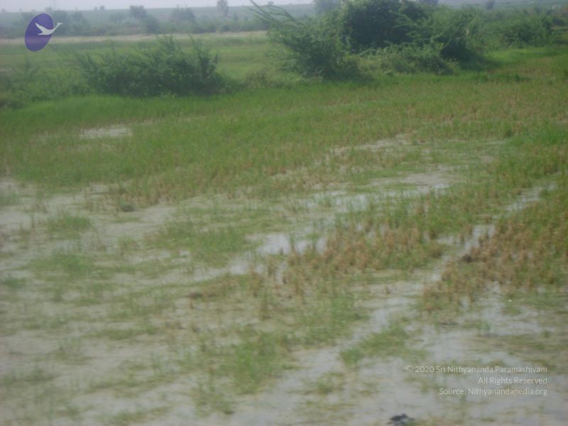 File:2006 DSC01809 CMP WM.jpg