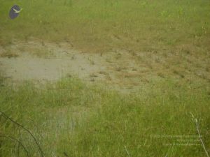 2006 DSC01810 CMP WM.jpg