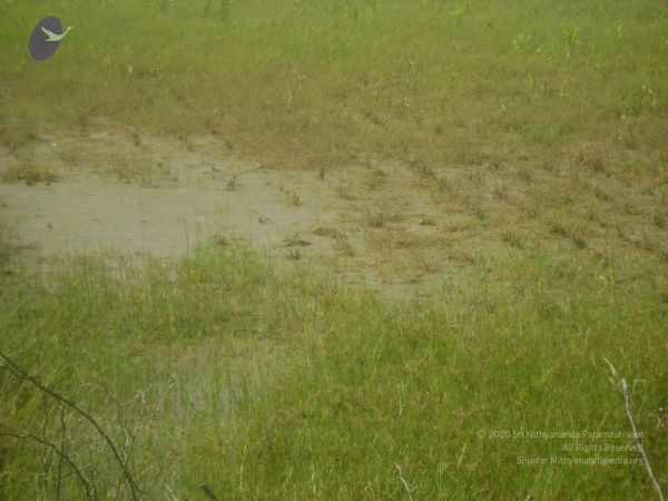 2006 DSC01810 CMP WM.jpg