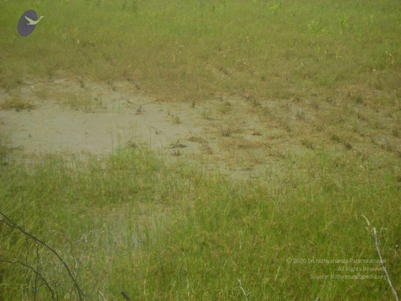 File:2006 DSC01810 CMP WM.jpg