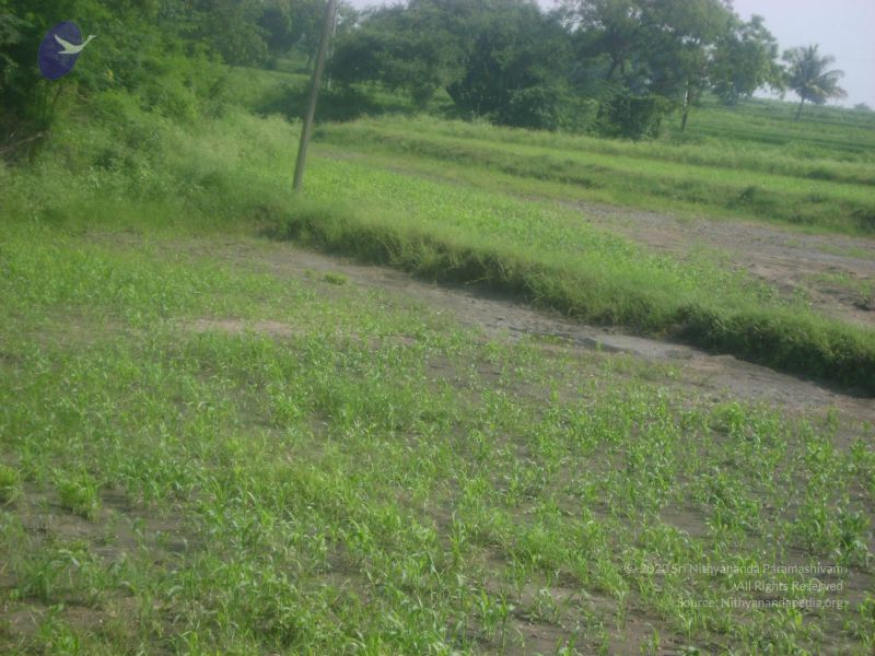 File:2006 DSC01811 CMP WM.jpg