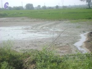 2006 DSC01813 CMP WM.jpg