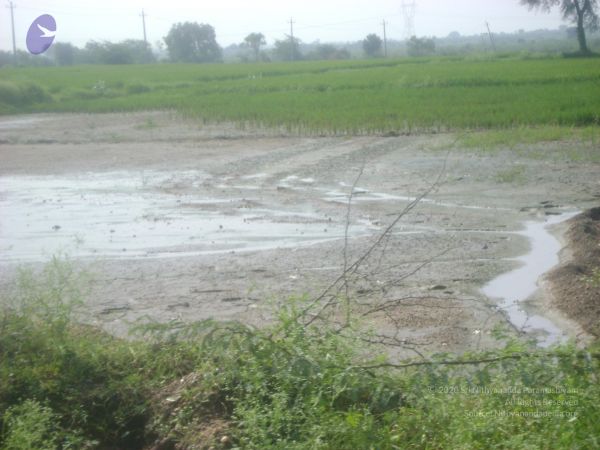 2006 DSC01813 CMP WM.jpg