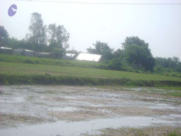 2006 DSC01814 CMP WM.jpg