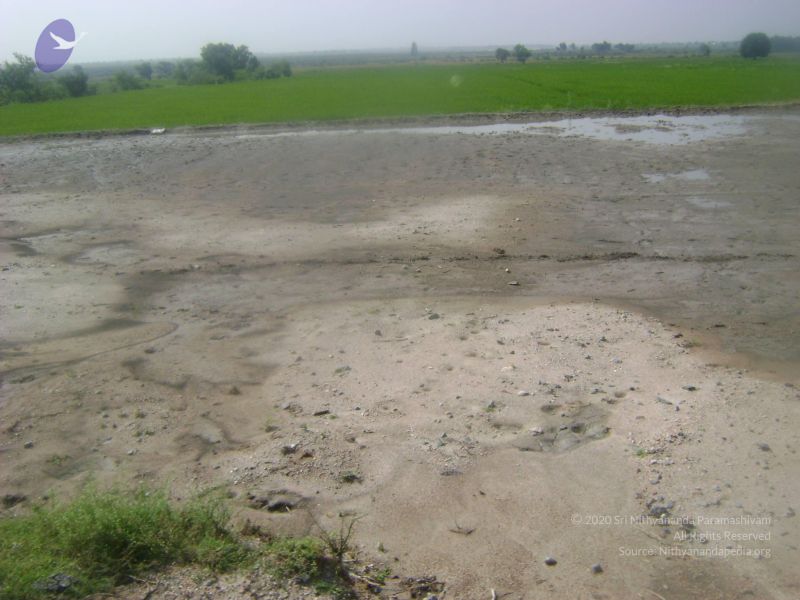 File:2006 DSC01815 CMP WM.jpg