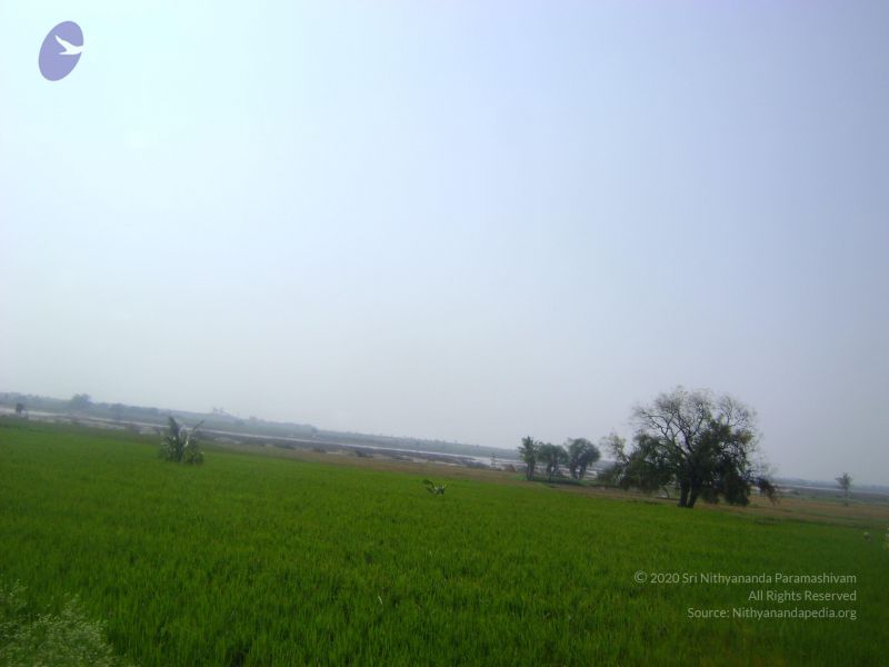 File:2006 DSC01819 CMP WM.jpg