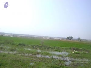 2006 DSC01821 CMP WM.jpg