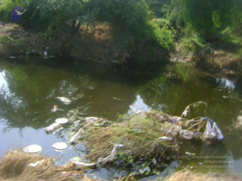 File:2006 DSC01824 CMP WM.jpg