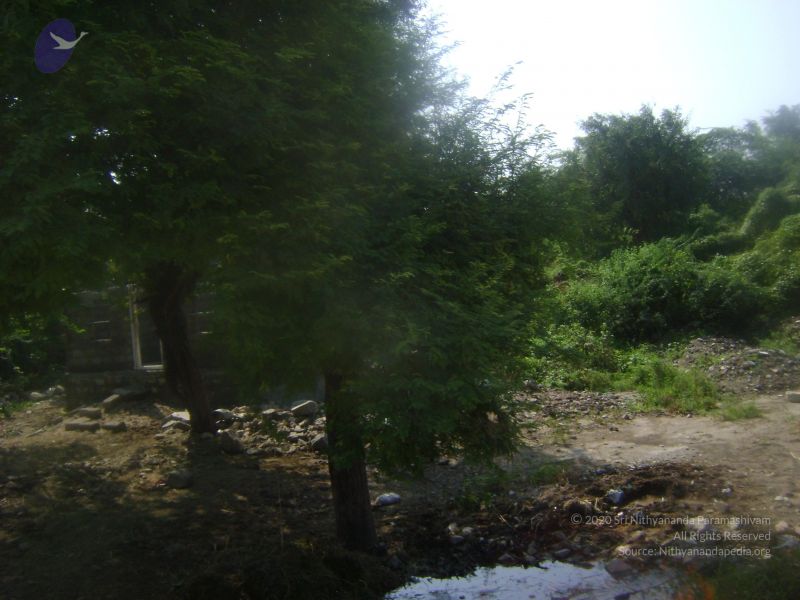 File:2006 DSC01825 CMP WM.jpg