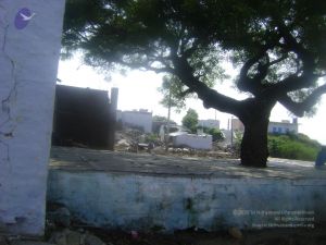 2006 DSC01836 CMP WM.jpg