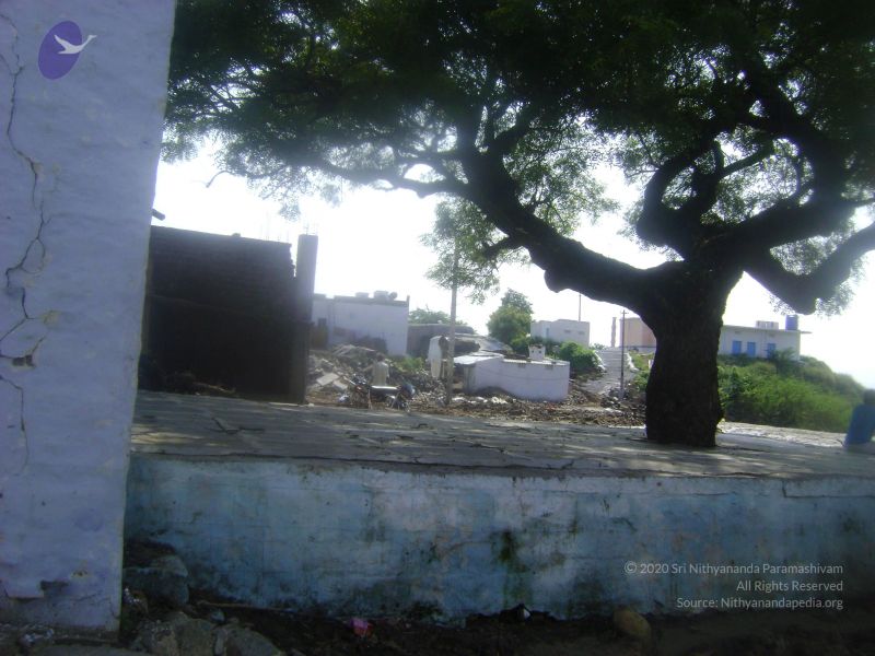 File:2006 DSC01836 CMP WM.jpg